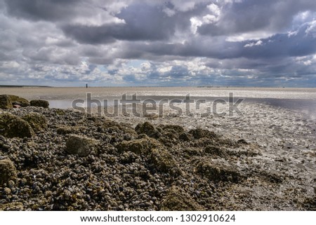 Sand beach on island Ameland, cloudy day. Netherlands.