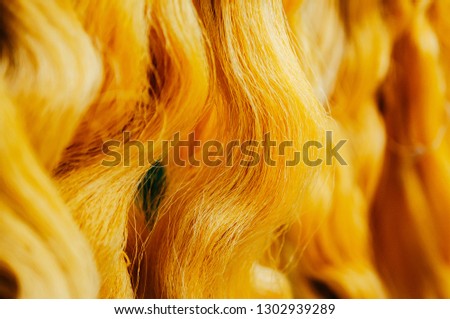 Details of natural yellow silk thread, traditional sericulture Thai silk making in Countryside, Thailand Royalty-Free Stock Photo #1302939289