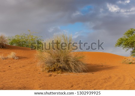 Orange Sand Dunes at sunset with stormy clouds and blue sky background in the United Arab Emirates.