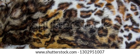 Leopard, Jaguar fur with stained on skin texture, close up