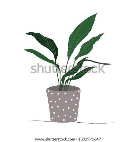 house plant illustration. potted plant hand drawn vector. 
