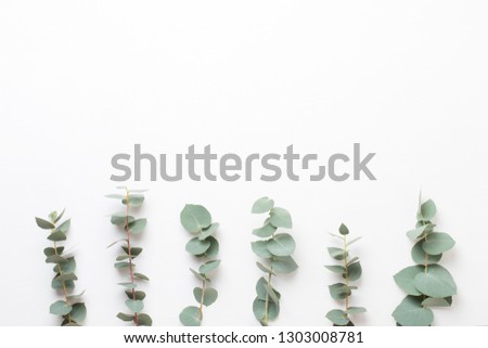 Flowers and eucaaliptus composition. Pattern made of various colorful flowers on white background. Flat lay stiil life.