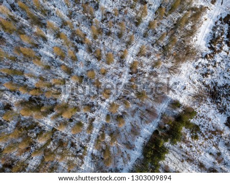 Top down aerial landscape with flight over winter forest. Forest in winter, birds eye view.