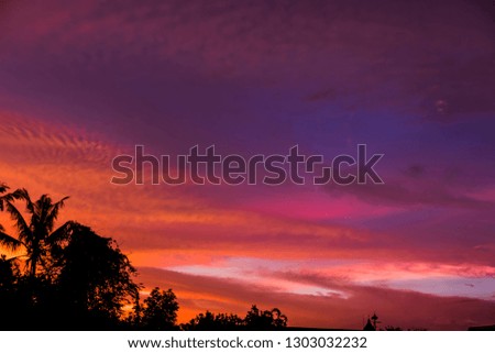 Sunset golden sky with cloud pattern high resolution image with tree silhouette