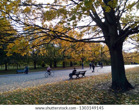People strolling near a bench in Hyde Park in London on Autumn.