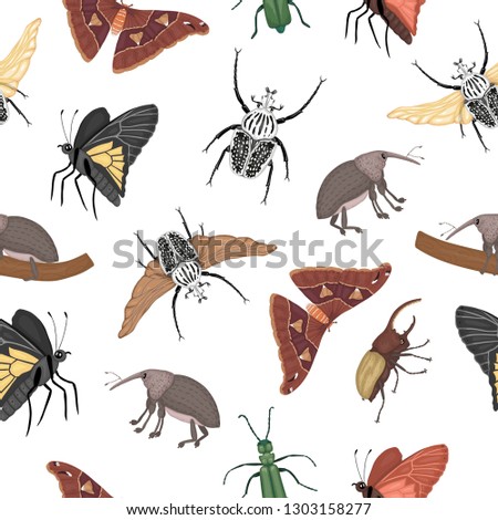 Vector seamless pattern of tropical insects. Repeat background of hand drawn colored atlas moth, weevil, butterfly, goliath, Hercules beetle, Spanish fly. Colorful cute ornament of tropic bugs