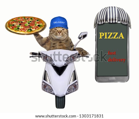 The cat is delivering pizza ordered through the Internet on a scooter. White background.