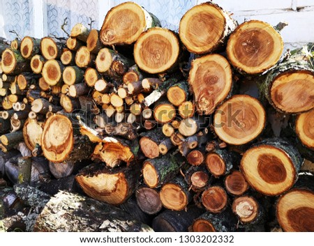 Close-up of logs, boards in warm sunny weather