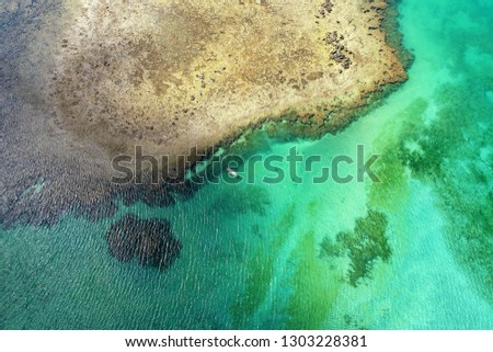 Aerial view of natural pools of São Miguel dos Milagres, Alagoas, Brazil. Fantastic landscape. Great colors and contrast. Beautiful beach scene.
