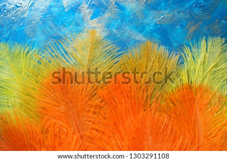 Orange and yellow feathers on a blue background