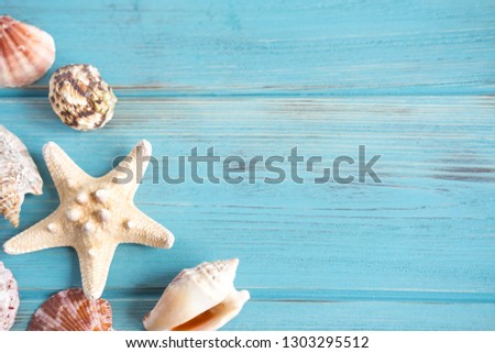Banner traveler. Frame for the text of a sailor suit with starfish and seashells. Photo of seashells