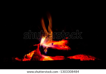 Red flame, dying tree, giving heat and light on a black background