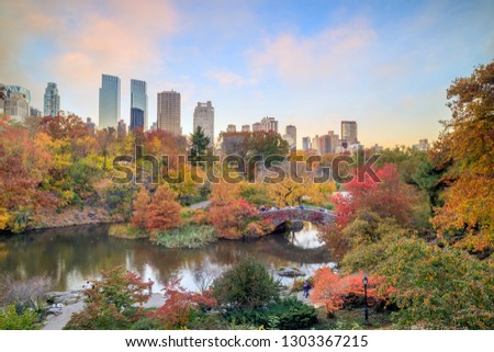 Central Park in Autumn with colorful trees and skyscrapers 