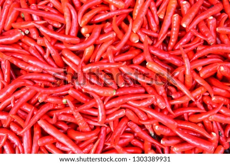 Hot and spicy red chili sell in the morning market at the city, Good back ground.