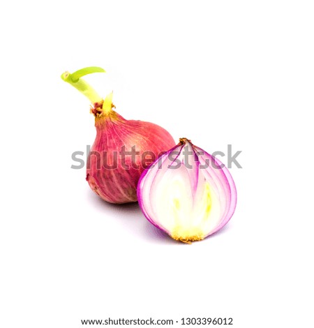 germinate onion red isolated on the white background. 