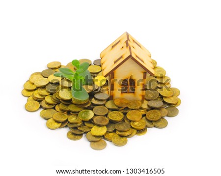 metal rubles with a green money tree sprout and a wooden house