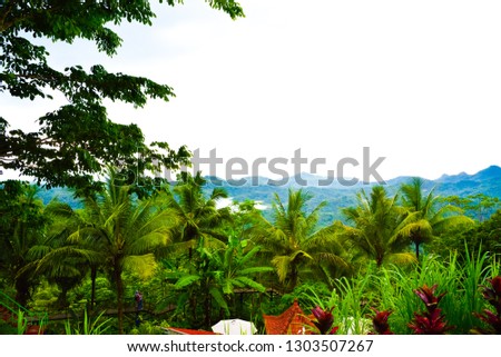 Rain forest tropical monsoon jungle with green plantation and hill mountain on horizon in the sunset cloudy rainy day