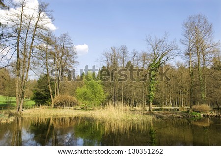 Beautiful pond with old trees