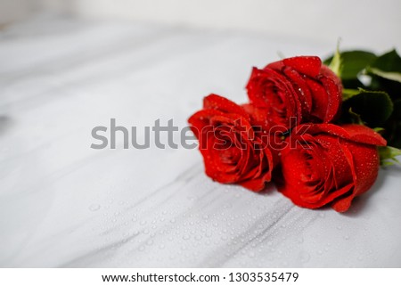 Beautiful red roses with water drops macro picture in the morning warm sunlight.  up with copyspace.  Horizontal view 