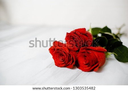 Beautiful red roses with water drops macro picture in the morning warm sunlight.  up with copyspace.  Horizontal view 