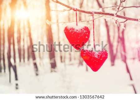 Wooden red heart for Valentines day hanging on a branch in winter
