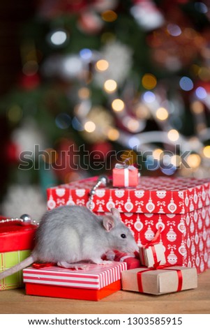 Gray rat with gifts on the background of the Christmas tree in the lights, the symbol of the new year
