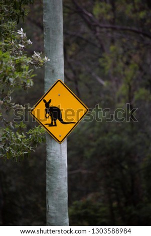 Warning, Kangaroo road sign, Australia