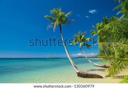 Coconut Coast Serenity Shore