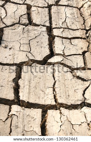 Dry Land with Cracked