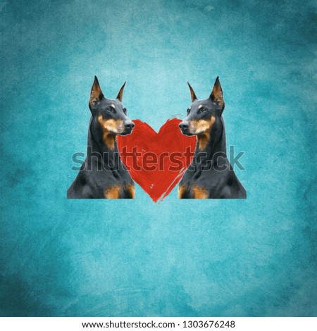 Blue background with doggies in love