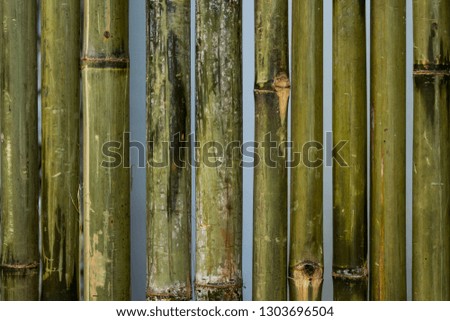 Bamboo Fence Outside Surface