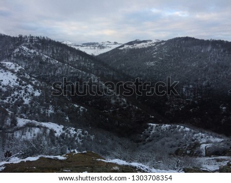 Snowy weather, Snowy mountains, Trees with trees, Pictures of trees and trees 