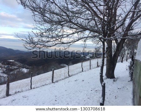 Snowy weather, Snowy mountains, Trees with trees, Pictures of trees and trees 