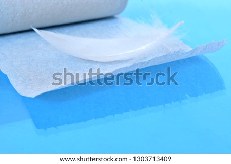 Light soft white bird feather on the unfolded roll of white toilet paper on blue background with reflection