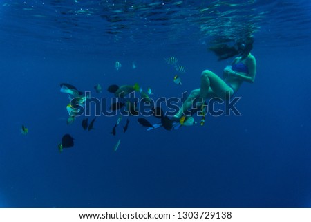 Young woman snorkeling masks dive deep underwater feeding tropical fishes in coral reef sea pool. Travel lifestyle