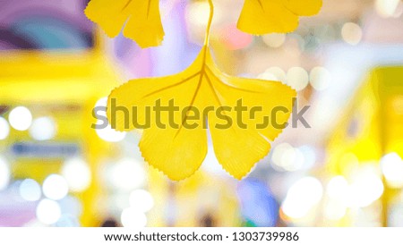 Yellow plastic leaf on white and yellow blurry background