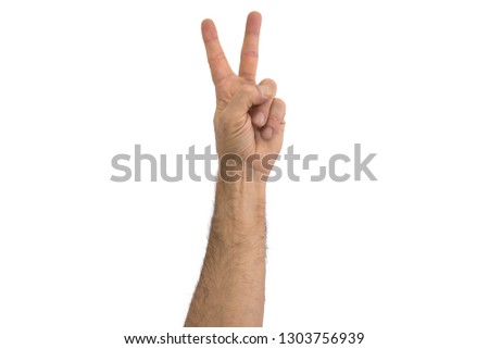 isolated hands on white background