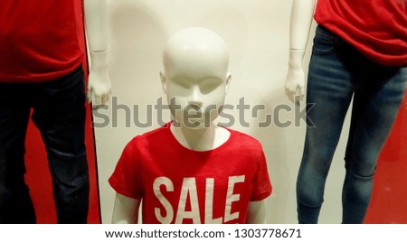 mannequins in the store on the eve of sales