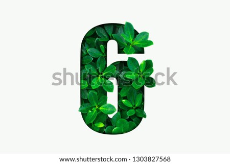 Nature concept alphabet of green leaves in number six shape 