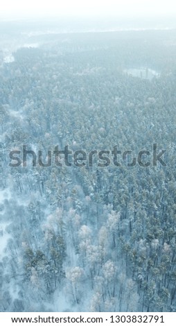 Riga latvia snow and woods drone