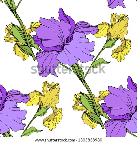 Vector Purple and yellow iris floral botanical flower. Wild spring leaf wildflower isolated. Engraved ink art. Seamless background pattern. Fabric wallpaper print texture.