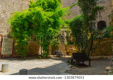 Small garden in the city of Girona.