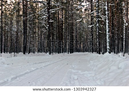 Snow-covered forest road leading to a country house