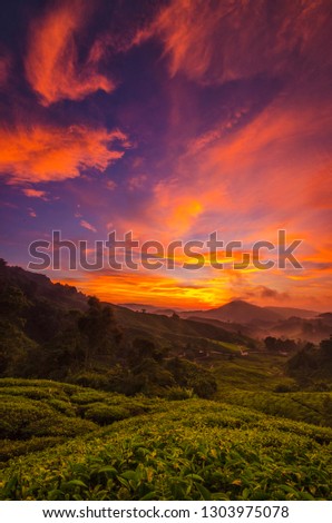 Best photo for inspiring our motivation to succeed using hill view background and dramatic sunrise.