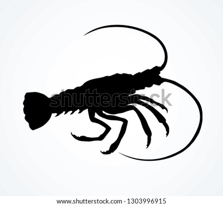 Big old grey anthropod panulirus mudbug set isolated on white background. Dark black color ink hand drawn logotype emblem pictogram in art contour print retro style on space for text