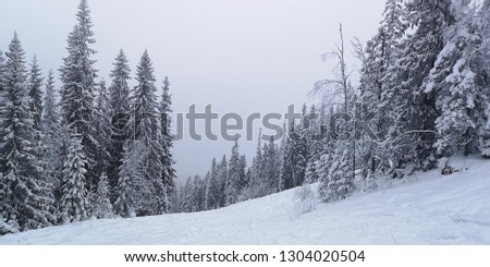 Winther snow pictures