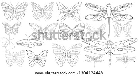  butterfly coloring book, set