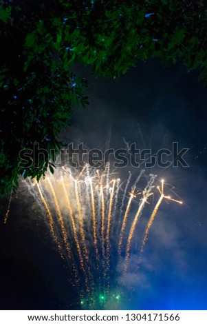 Fireworks, audio and environmental pollution, detail tree leaves night activity, celebration.