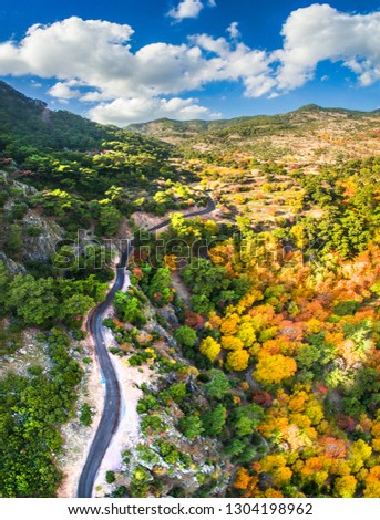 Epic drone shot of a road through the forest. Autumn colors in nature. Mountain road to village.