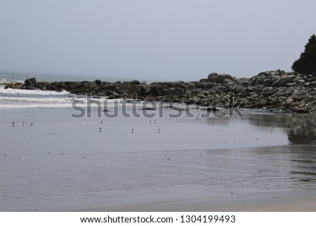 An outcropping of rock with a beach in the forefront with small birds walking in the sand and waves 